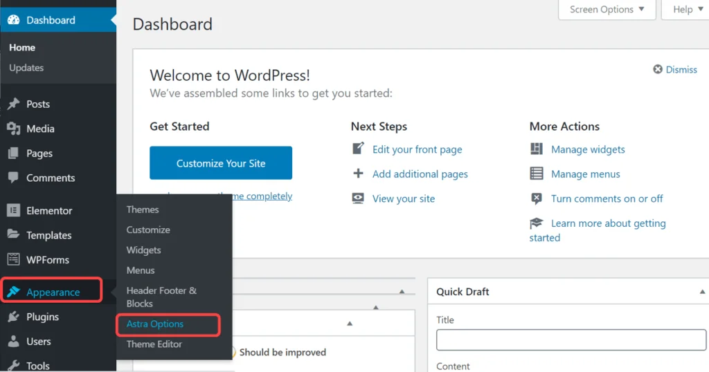 How to Install and Activate Astra Theme in 2023 on WordPress: Step-by-Step Guide 15 Astra Options Menu