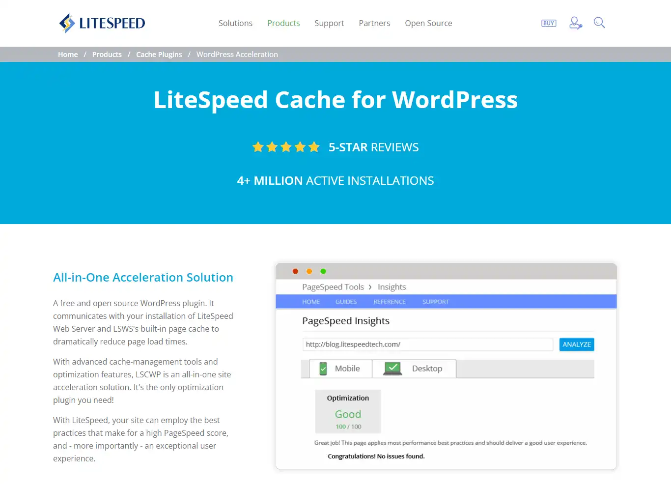 Lite Speed Cache Plugin Interface